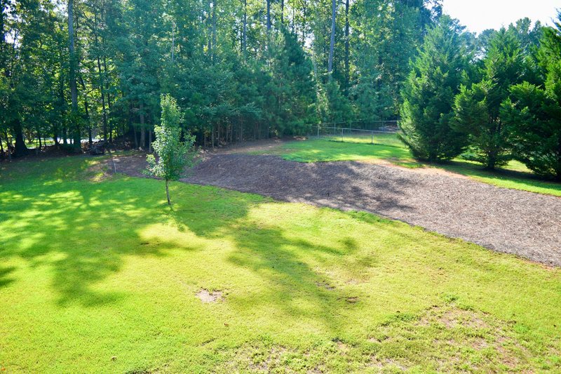The lawn at the back of the house running down to the tree line.